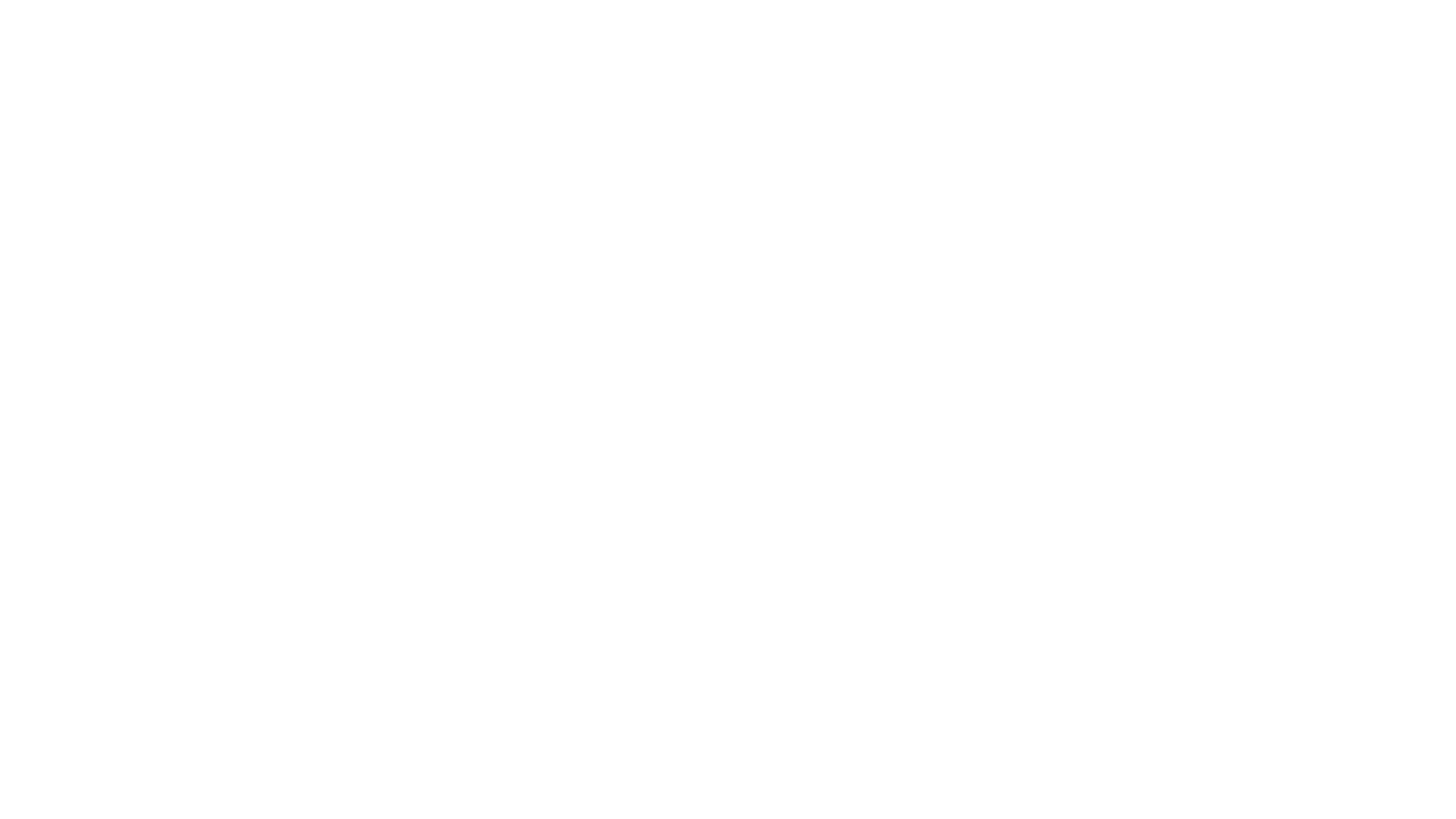 Leo Optics